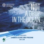 Not a drop in the ocean: Key successes Common Oceans ABNJ Program 2014-2019